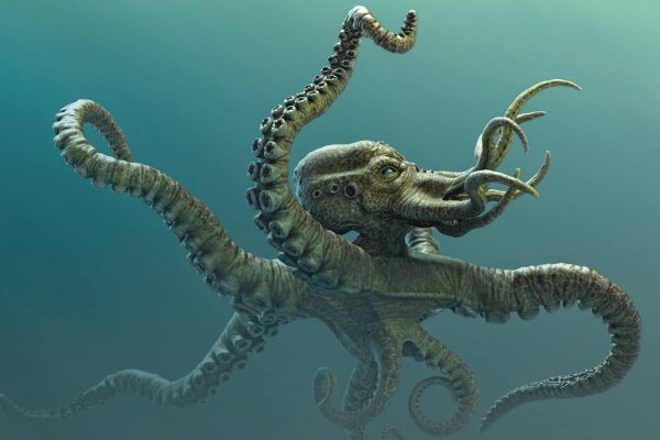 Kraken ссылка для тору