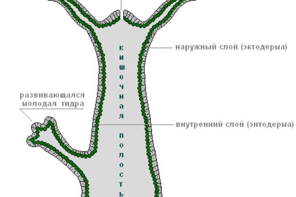 Ссылка на кракен лукойл