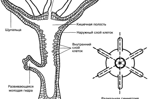 Кракен сайт регистрация